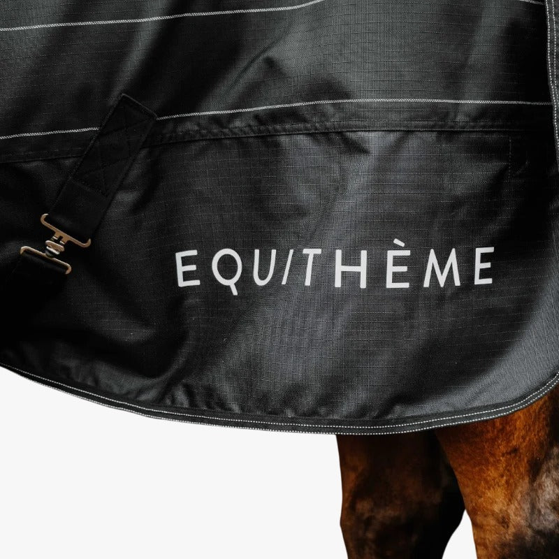 EQUITHÈME TYREX Lumin 600D āra sega zirgam, 200 g