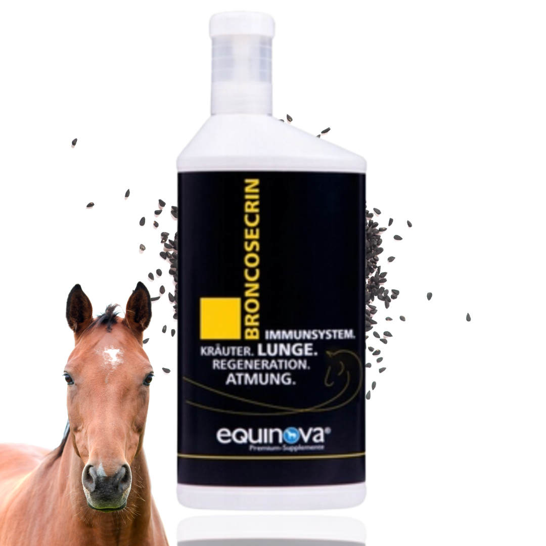 Equinova Broncosecrin 1l