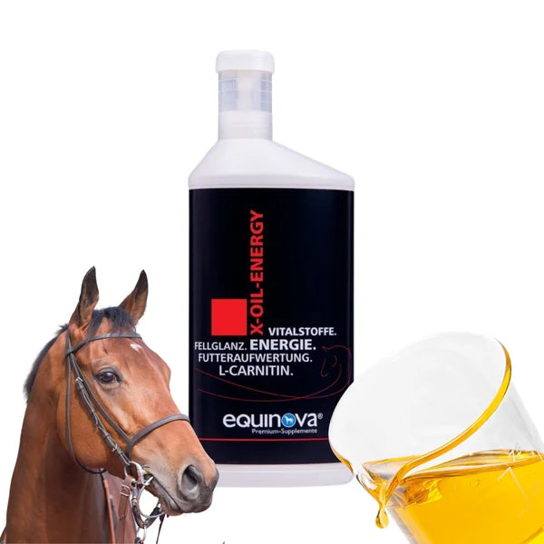 Equinox X-Oil Energy 1L