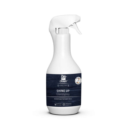 Derby Shine Up 500ml
