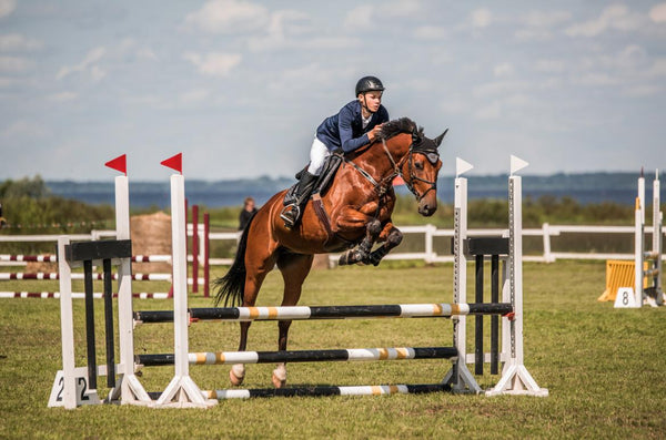 Gustavs Āpsītis & Circadian