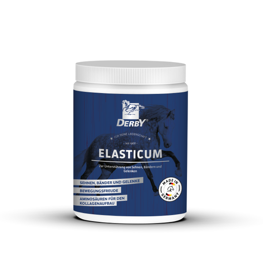 DERBY® Elasticum 700gr