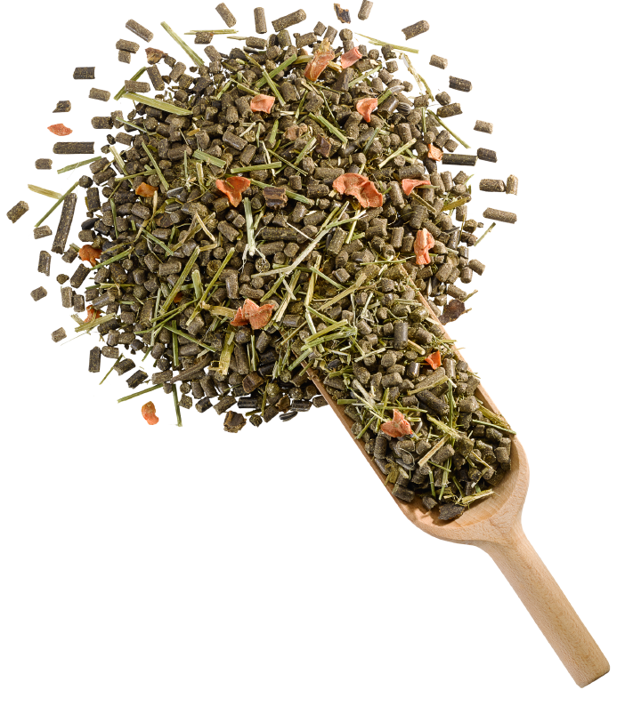 DERBY Struktur Fit 15kg