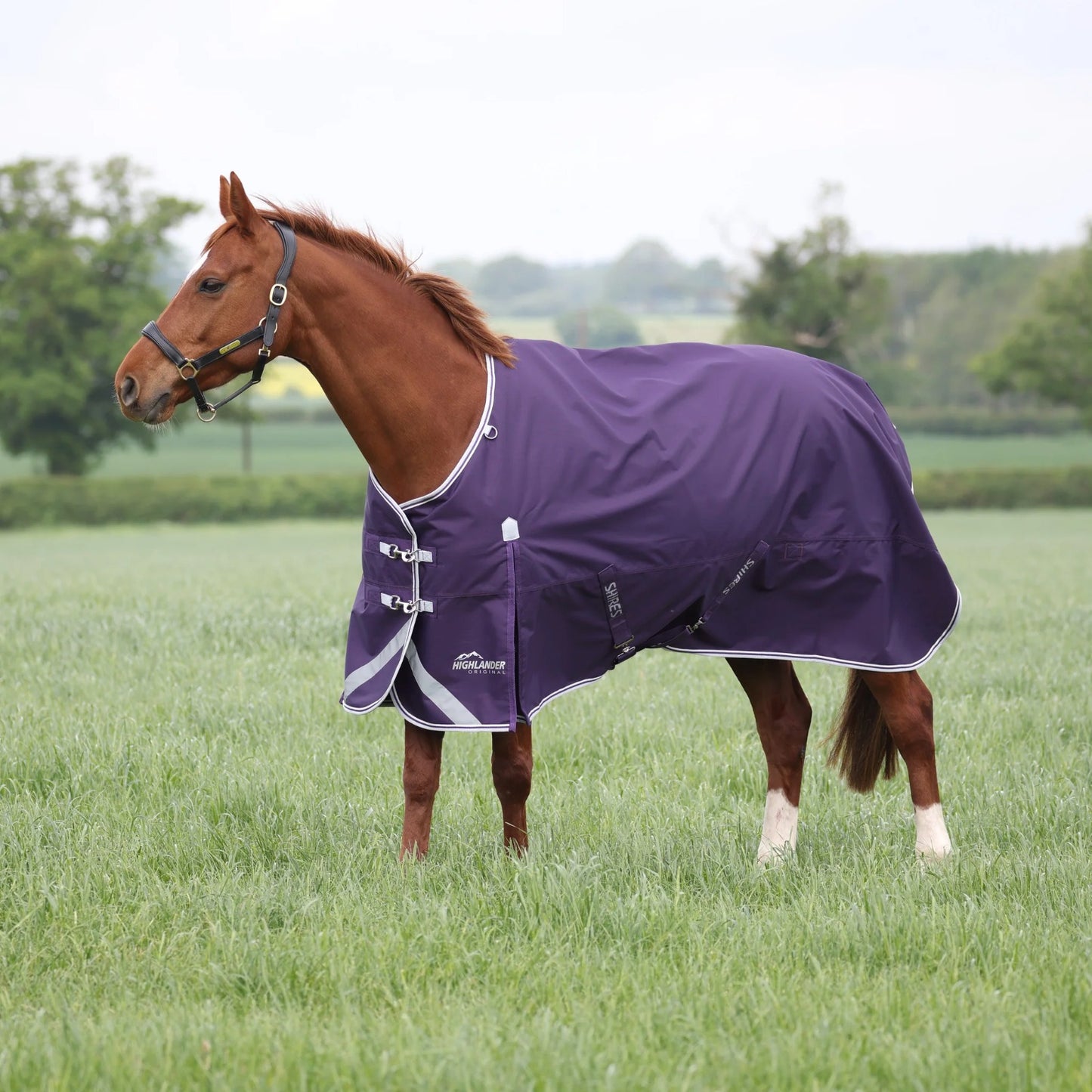 Shires Highlander Original 100 āra sega bez kakla daļas (Plūme)
