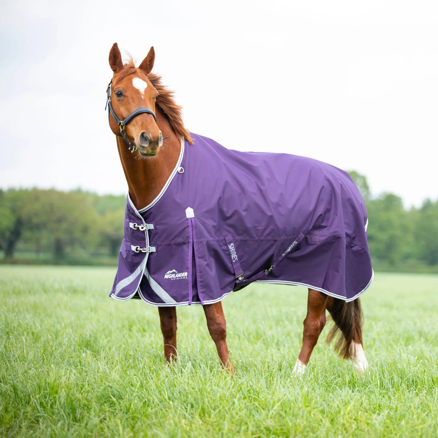 Shires Highlander Original 100 āra sega bez kakla daļas (Plūme)