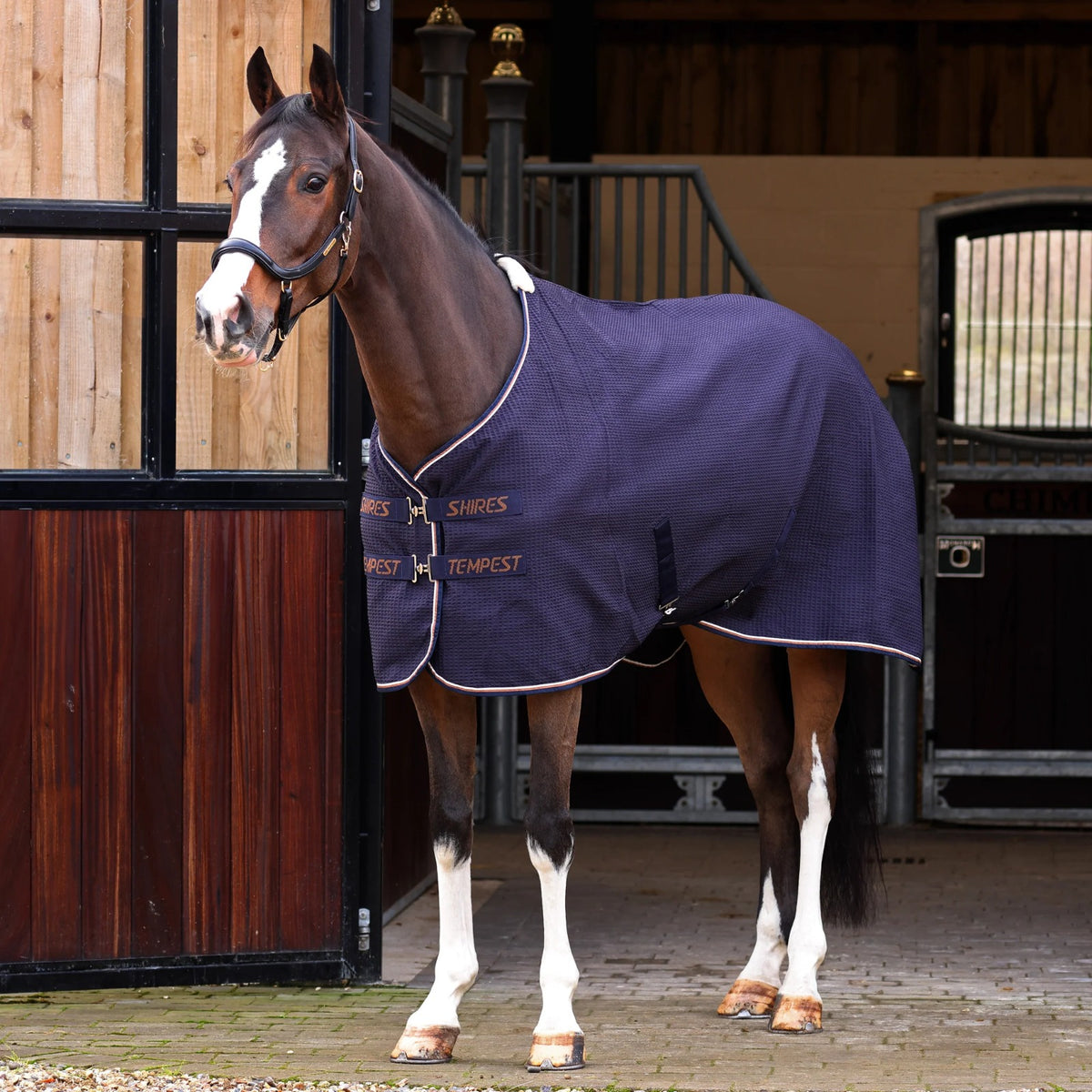 Shires Tempest Original Waffle sviedru sega