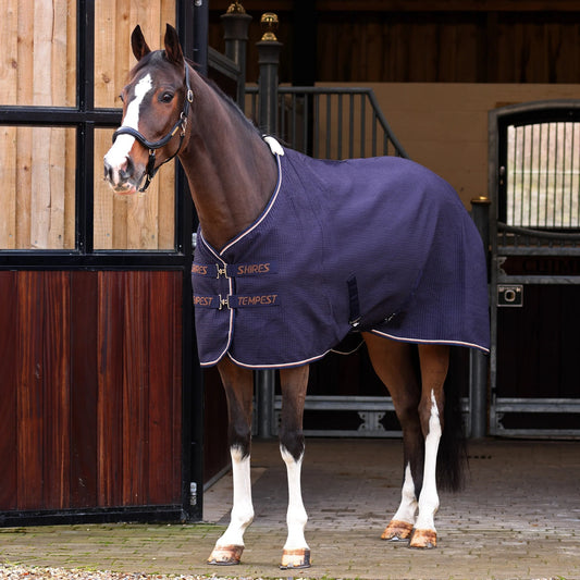 Shires Tempest Original Waffle sviedru sega