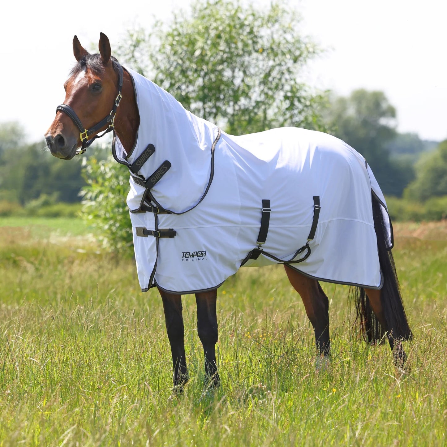 Shires Tempest Original mušu sega ar noņemamu kakla daļu