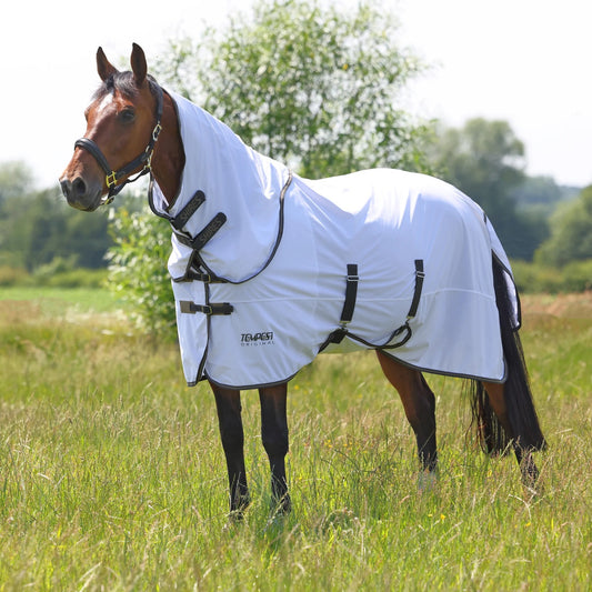 Shires Tempest Original mušu sega ar noņemamu kakla daļu
