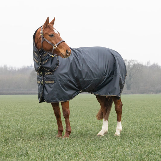 Shires Typhoon 50 Combo āra sega ar kakla daļu (Melns)