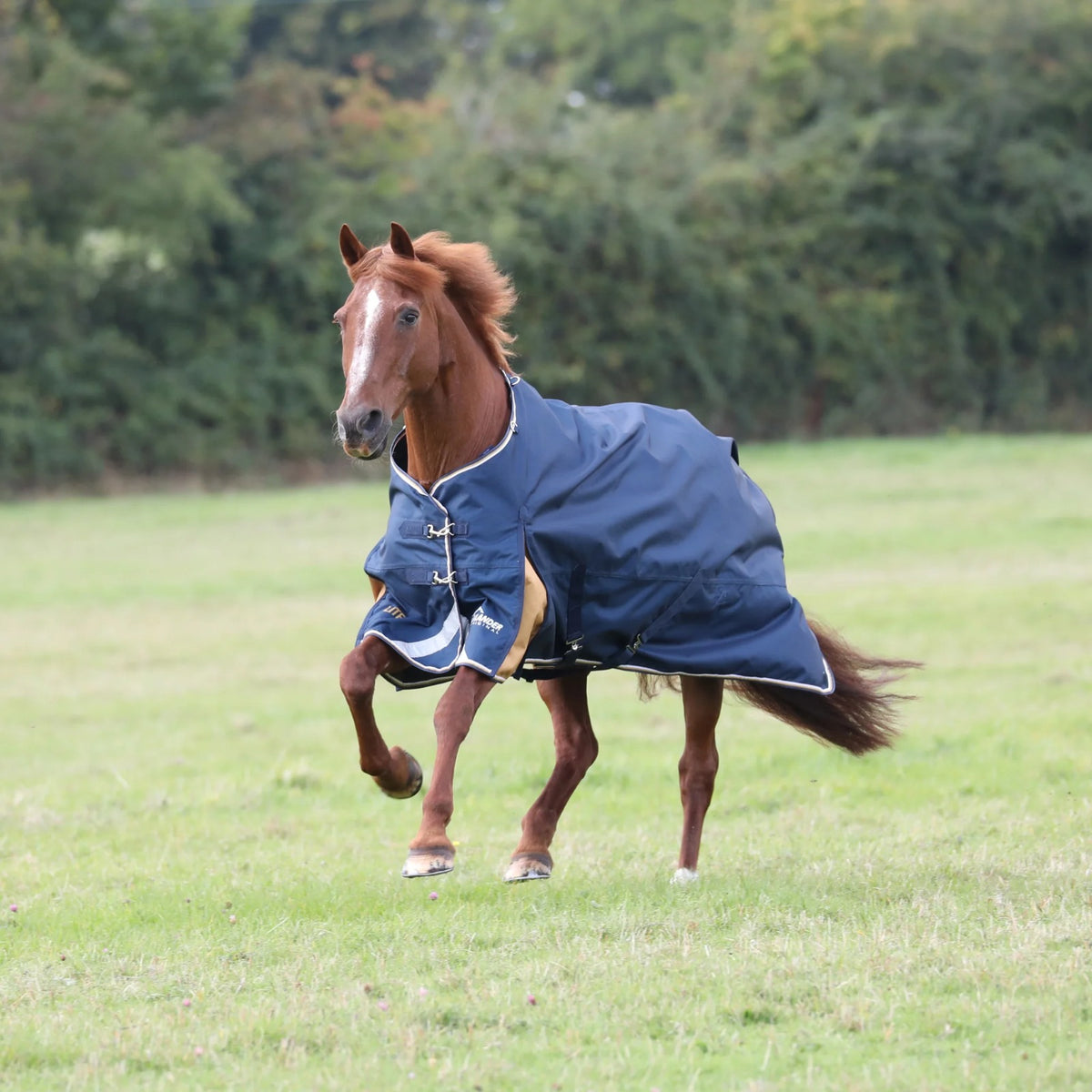 Shires Highlander Plus Lite āra sega bez pildījuma (Zils)