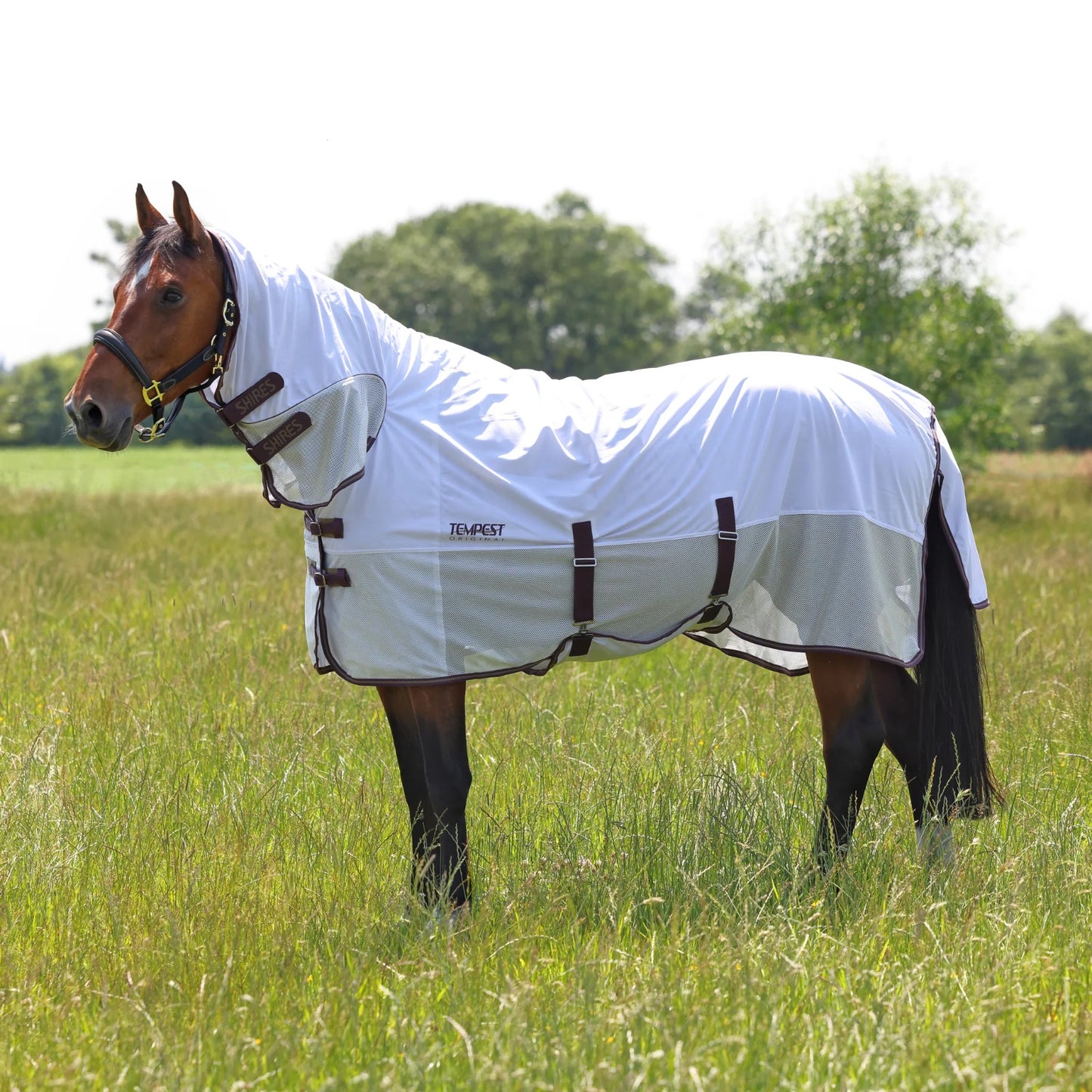 Shires Tempest Original mušu sieta sega ar kakla daļu