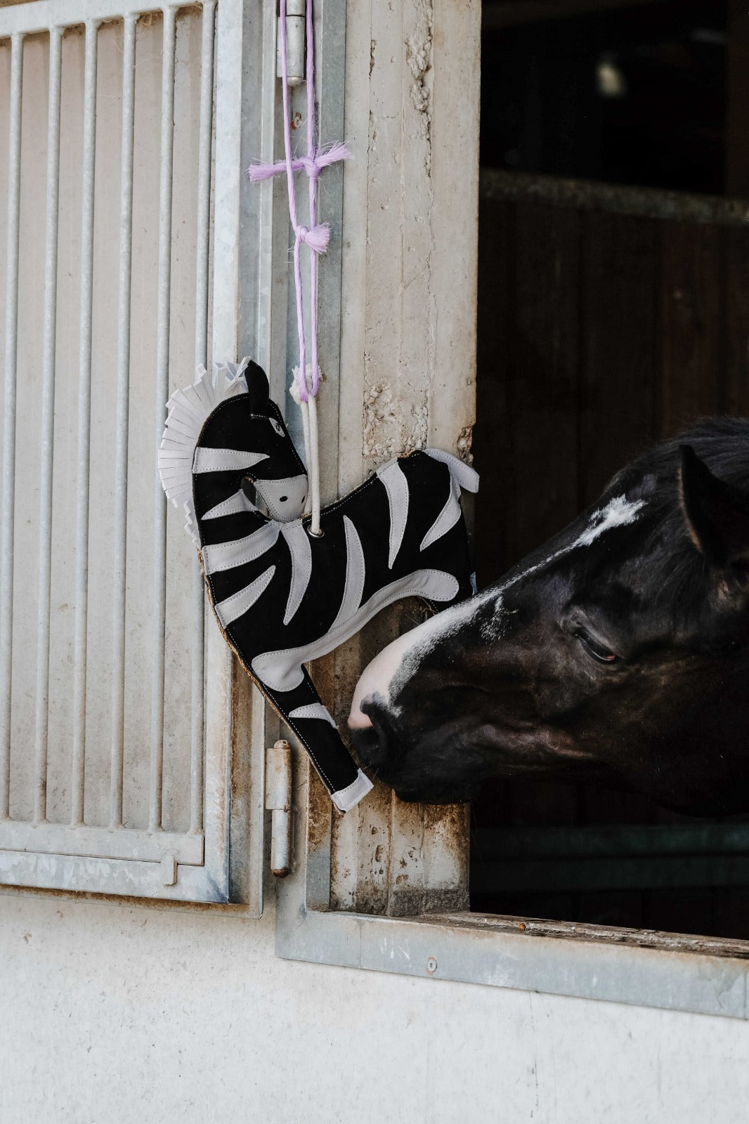 HIPPOTONIC Zebra rotaļlieta zirgiem
