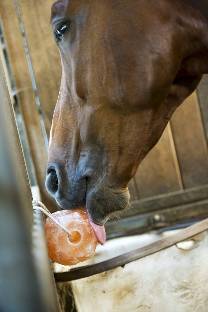 HIPPOTONIC Himalaju sāls laizāmakmens