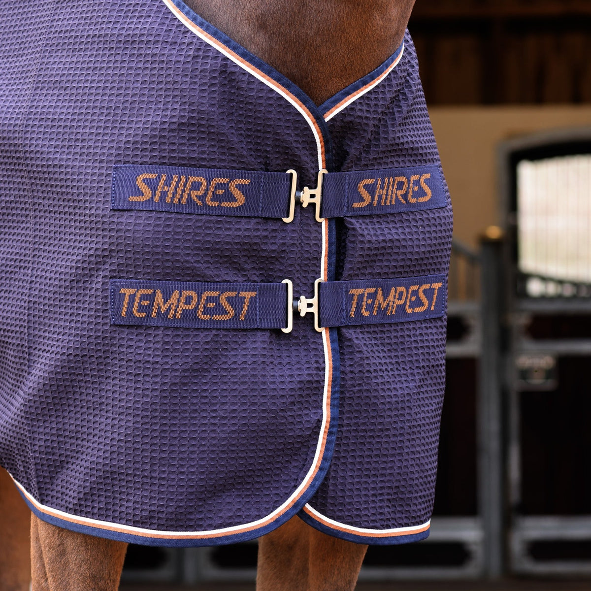 Shires Tempest Original Waffle sviedru sega