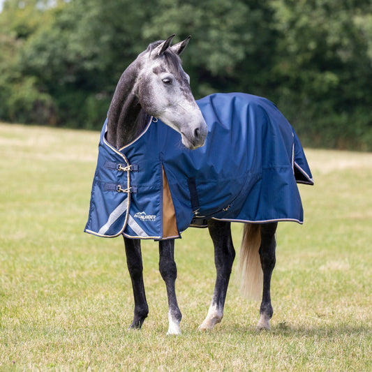 Shires Highlander Plus Lite āra sega bez pildījuma (Zils)