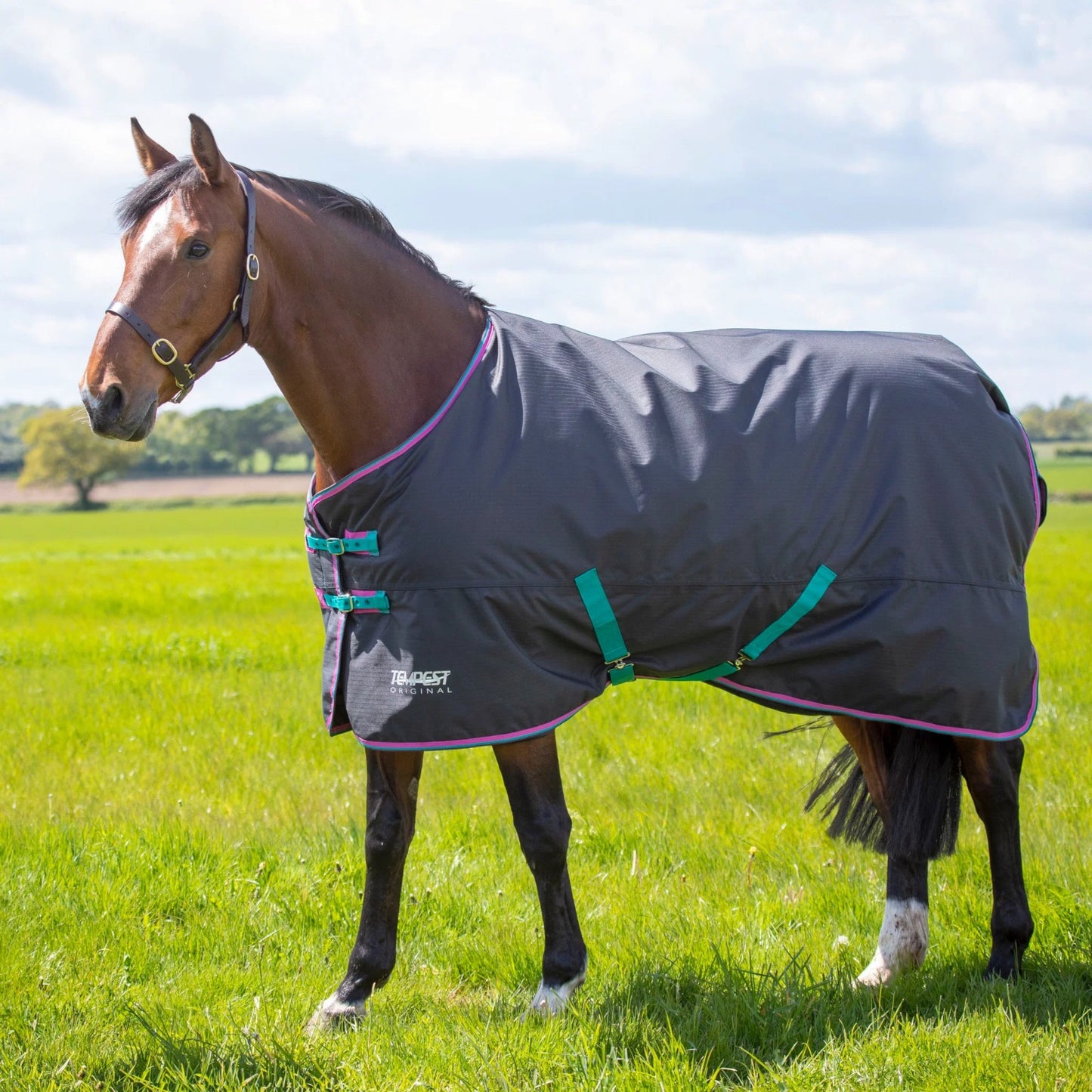 Shires Tempest Original 300 āra ziemas sega
