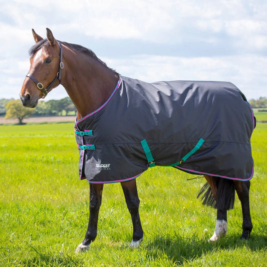 Shires Tempest Original 300 āra ziemas sega