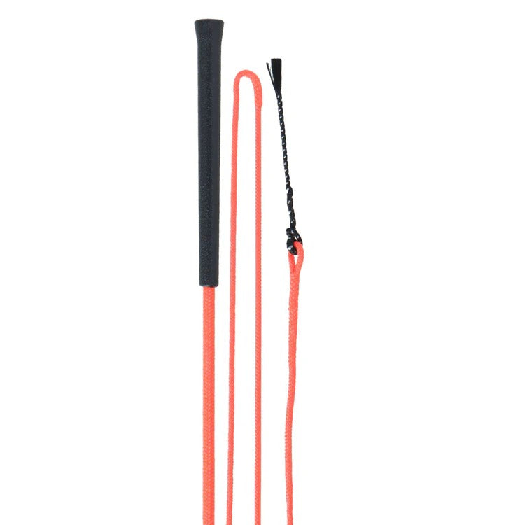Shire Lunging Whip- pātaga