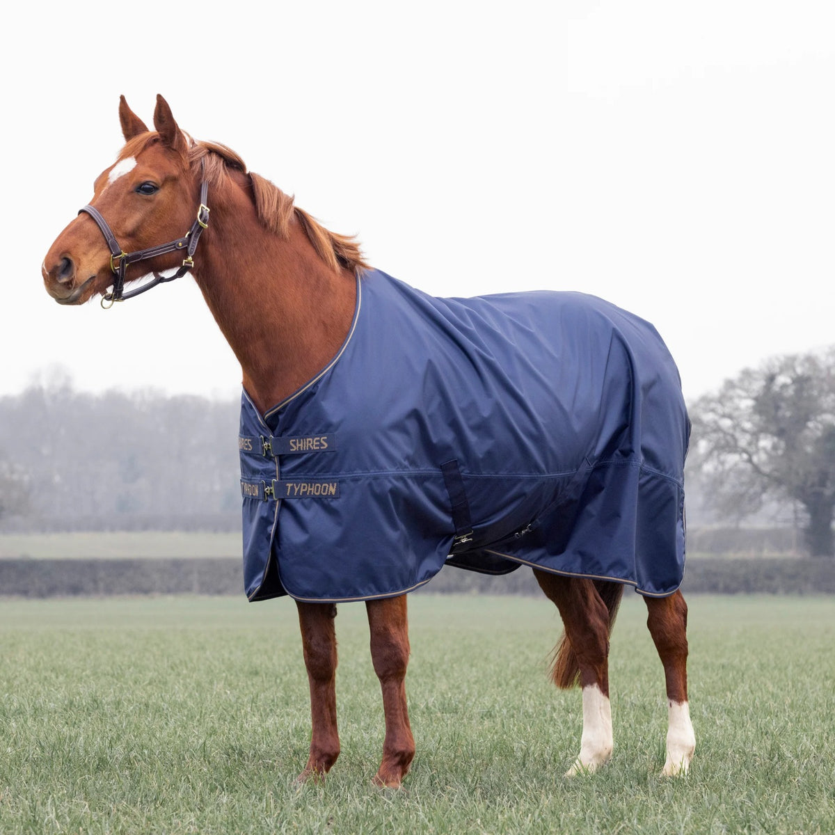 Shires Typhoon Lite āra sega bez pildījuma (Zils)