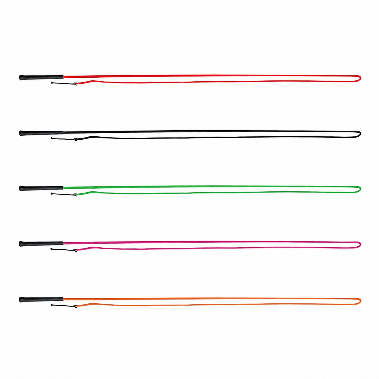 Shire Lunging Whip- pātaga