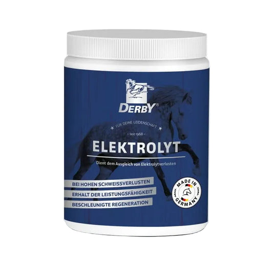 DERBY Elektrolyt 1 kg