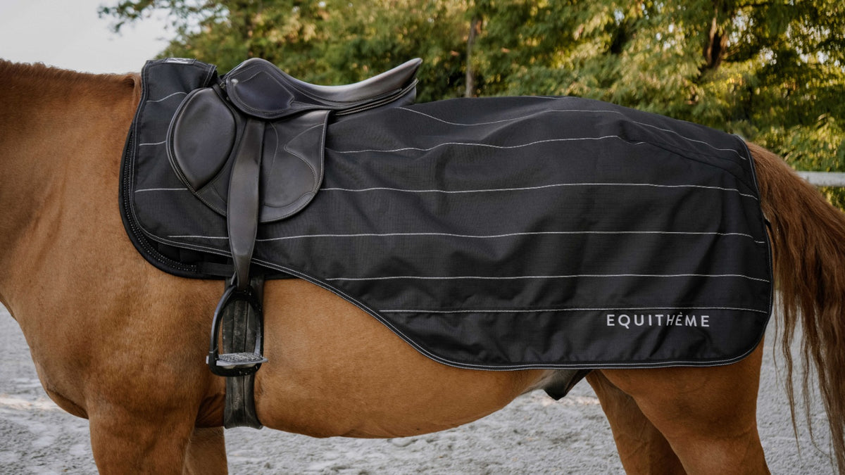 EQUITHÈME TYREX Lumin 600D treniņu sega zirgam