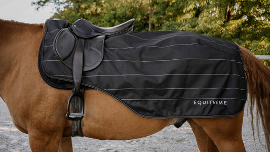 EQUITHÈME TYREX Lumin 600D treniņu sega zirgam