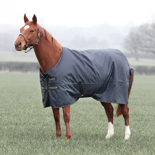 Shires Typhoon 50 āra sega (Melns)
