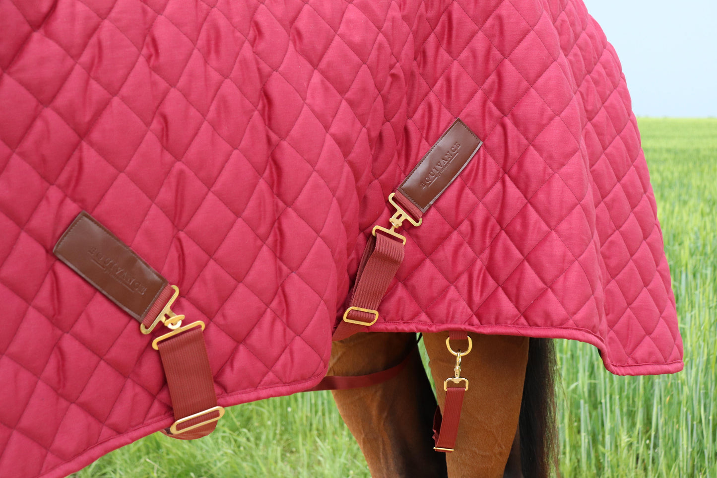 Burgundy stable rug 100 gr - staļļa sega